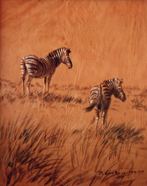 Bild Zwei Zebras von Uli Aschenborn